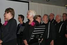 Uitvoering 2014 Gemini (21).jpg